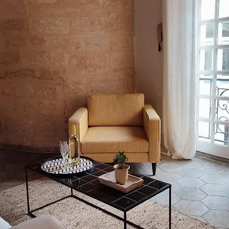 Apartment Uzes, Au Coeur Du Centre Medieval Le Logis Du Consul Un Bien D'exception Du Xvieme Siecle *